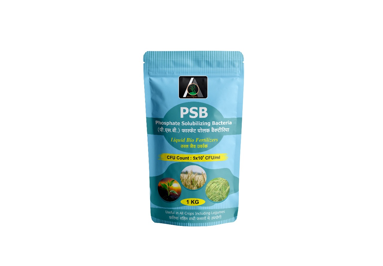 Partner 8